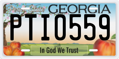 GA license plate PTI0559