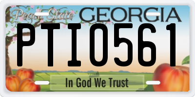 GA license plate PTI0561