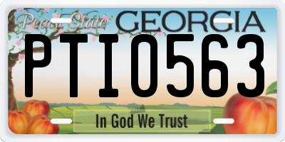 GA license plate PTI0563