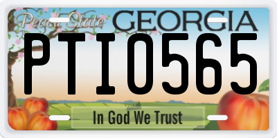 GA license plate PTI0565