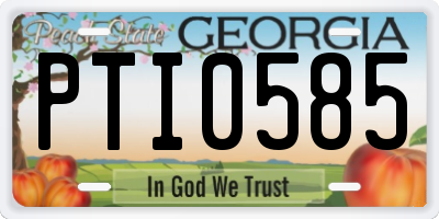 GA license plate PTI0585