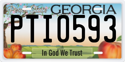 GA license plate PTI0593