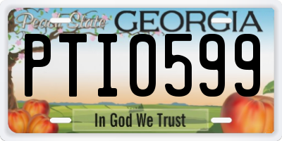 GA license plate PTI0599