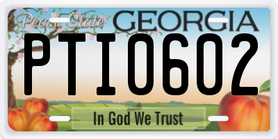 GA license plate PTI0602