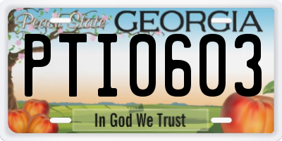 GA license plate PTI0603