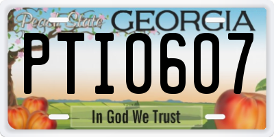 GA license plate PTI0607