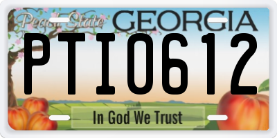 GA license plate PTI0612