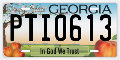 GA license plate PTI0613