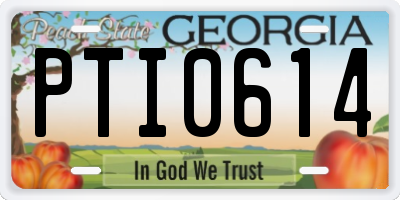 GA license plate PTI0614