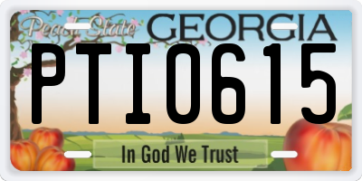 GA license plate PTI0615