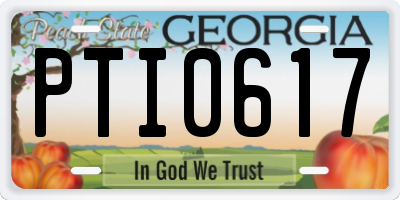 GA license plate PTI0617