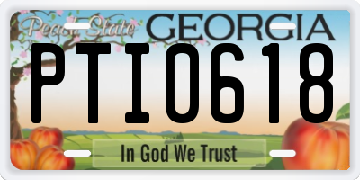 GA license plate PTI0618