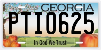 GA license plate PTI0625