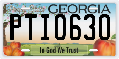 GA license plate PTI0630