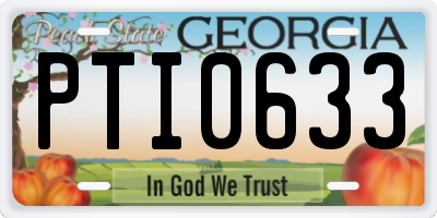 GA license plate PTI0633