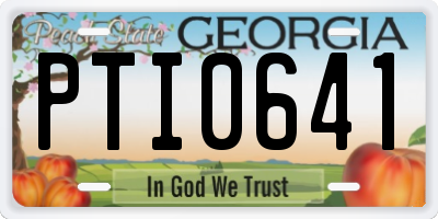 GA license plate PTI0641