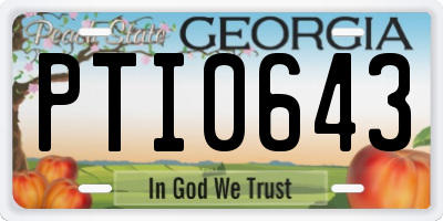 GA license plate PTI0643