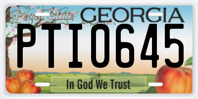 GA license plate PTI0645