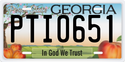 GA license plate PTI0651