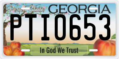 GA license plate PTI0653