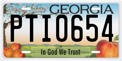 GA license plate PTI0654