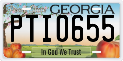 GA license plate PTI0655