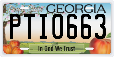 GA license plate PTI0663