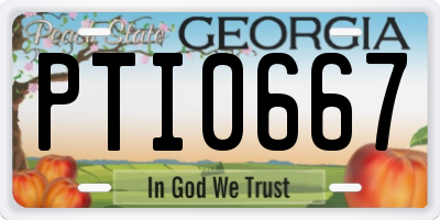 GA license plate PTI0667