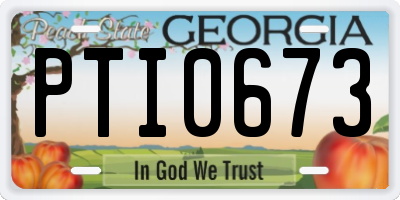 GA license plate PTI0673