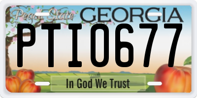 GA license plate PTI0677
