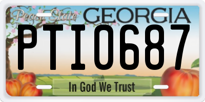 GA license plate PTI0687