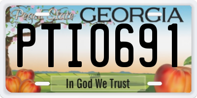 GA license plate PTI0691