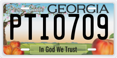 GA license plate PTI0709