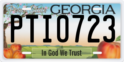 GA license plate PTI0723