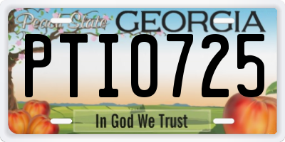 GA license plate PTI0725
