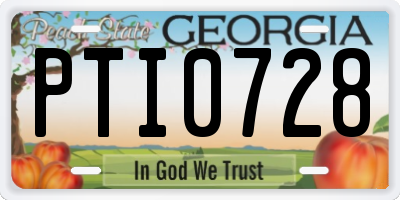 GA license plate PTI0728