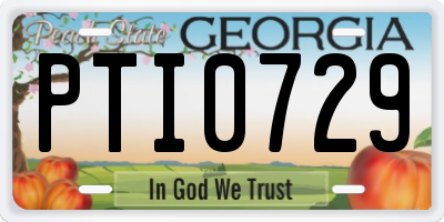 GA license plate PTI0729