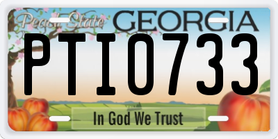 GA license plate PTI0733