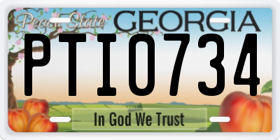 GA license plate PTI0734