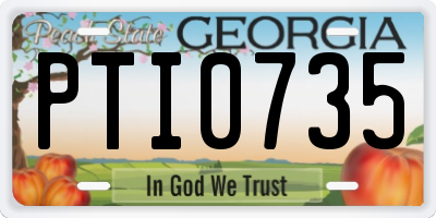 GA license plate PTI0735