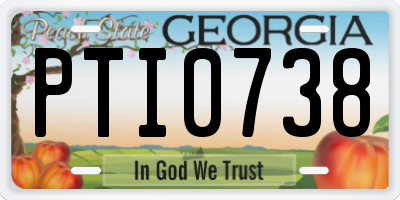 GA license plate PTI0738