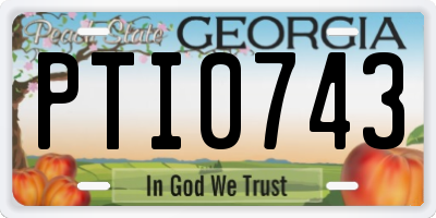 GA license plate PTI0743