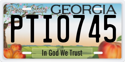 GA license plate PTI0745