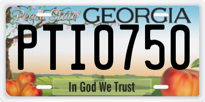 GA license plate PTI0750