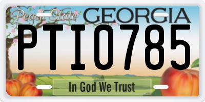 GA license plate PTI0785