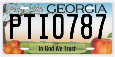 GA license plate PTI0787