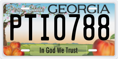 GA license plate PTI0788