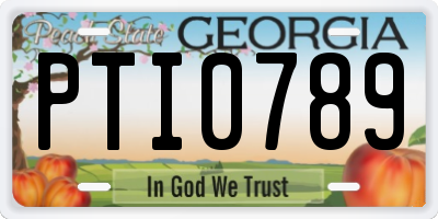 GA license plate PTI0789