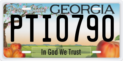 GA license plate PTI0790