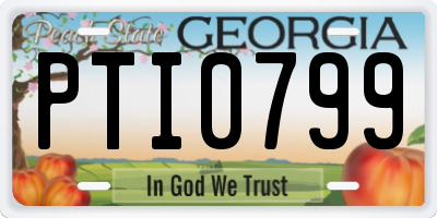 GA license plate PTI0799